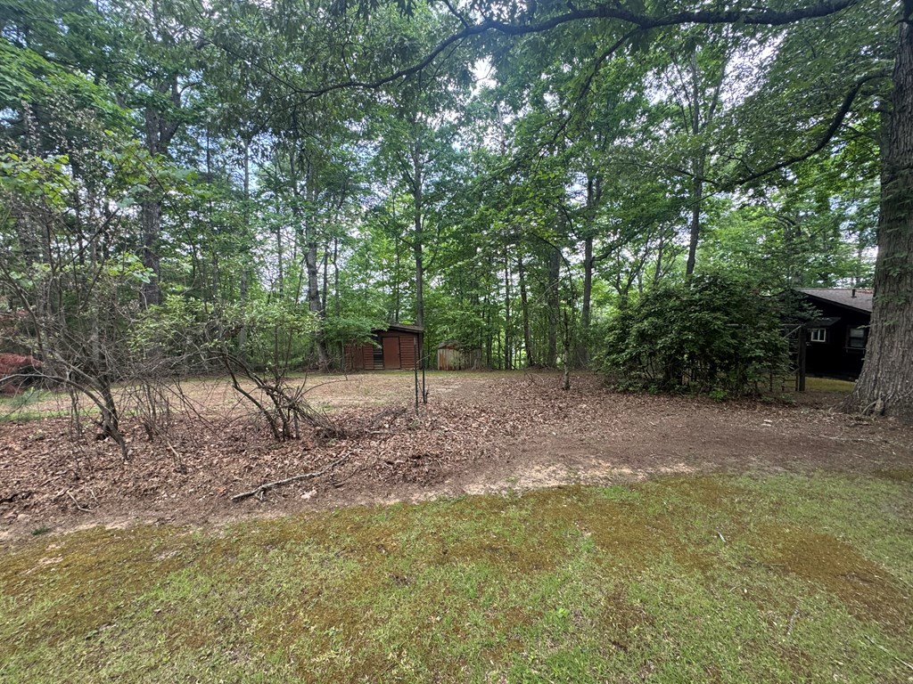 210 Holly Ridge Lane Murphy, NC 28906 - Photo 27 of 32