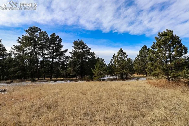 $250,000 | 20155 Saddle Blanket Lane, Peyton, CO 80831