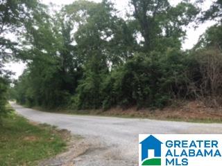 0 North Dakota Road, Unit 1 Thorsby, AL 35171 - Photo 6 of 6