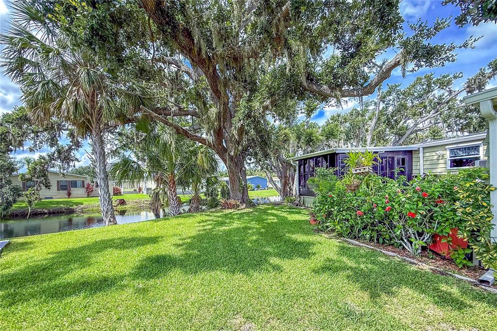 83 Eagle Circle Ellenton, FL 34222 - Photo 42 of 60 a view of a backyard with table and chairs and a large tree