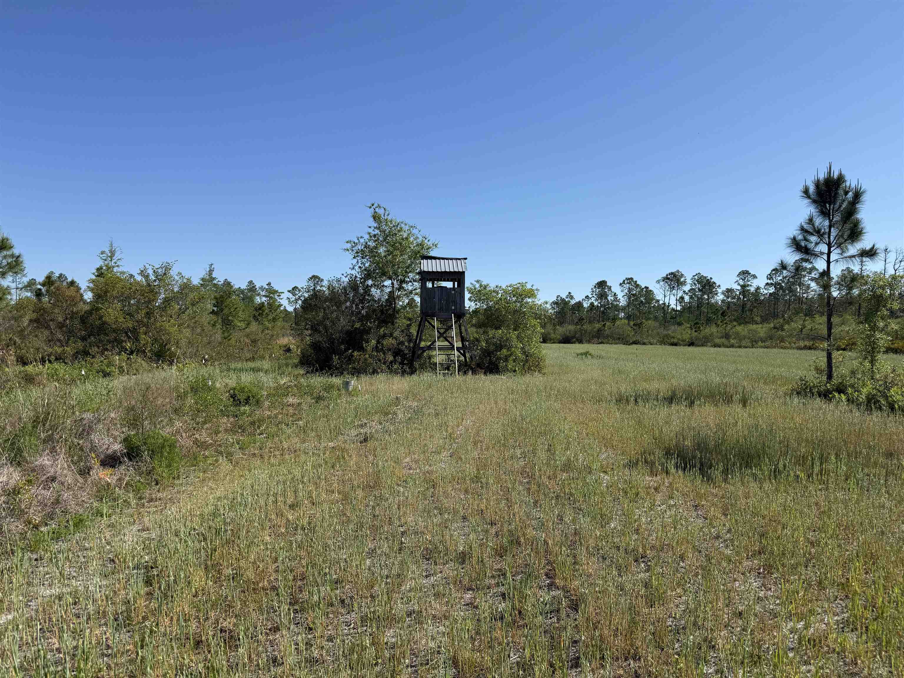 0 Madison Main Line Road Perry, FL 32347 - Photo 24 of 50