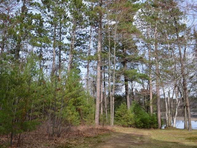 On Selmer Road Tomahawk, WI 54487 - Photo 4 of 17 Gallery Image 4