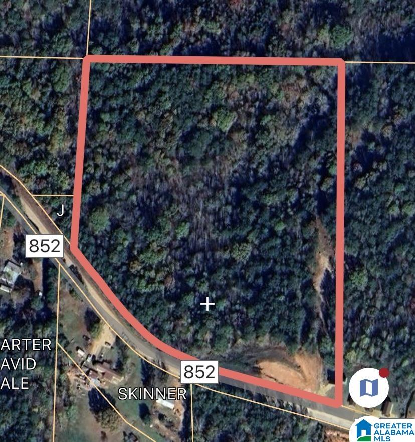 0 County Road 852, Unit 1 Ranburne, AL 36273 - Photo 10 of 11