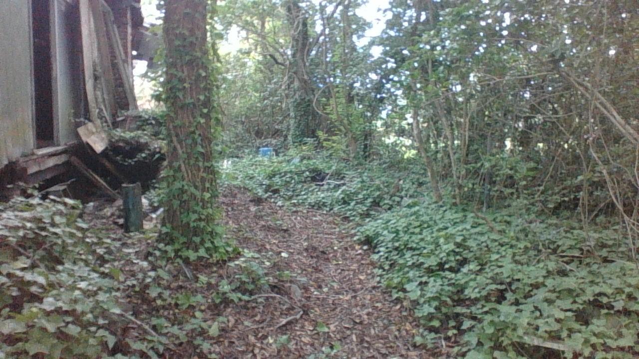 948 West Oceanview Road Charleston, SC 29412 - Photo 14 of 15 WIN_20150902_182500
