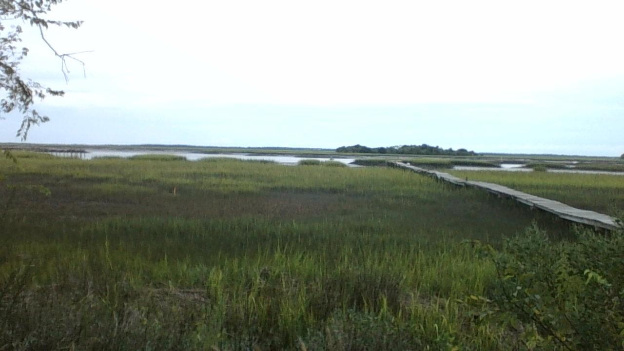 948 West Oceanview Road Charleston, SC 29412 - Photo 5 of 15 WIN_20150902_182016