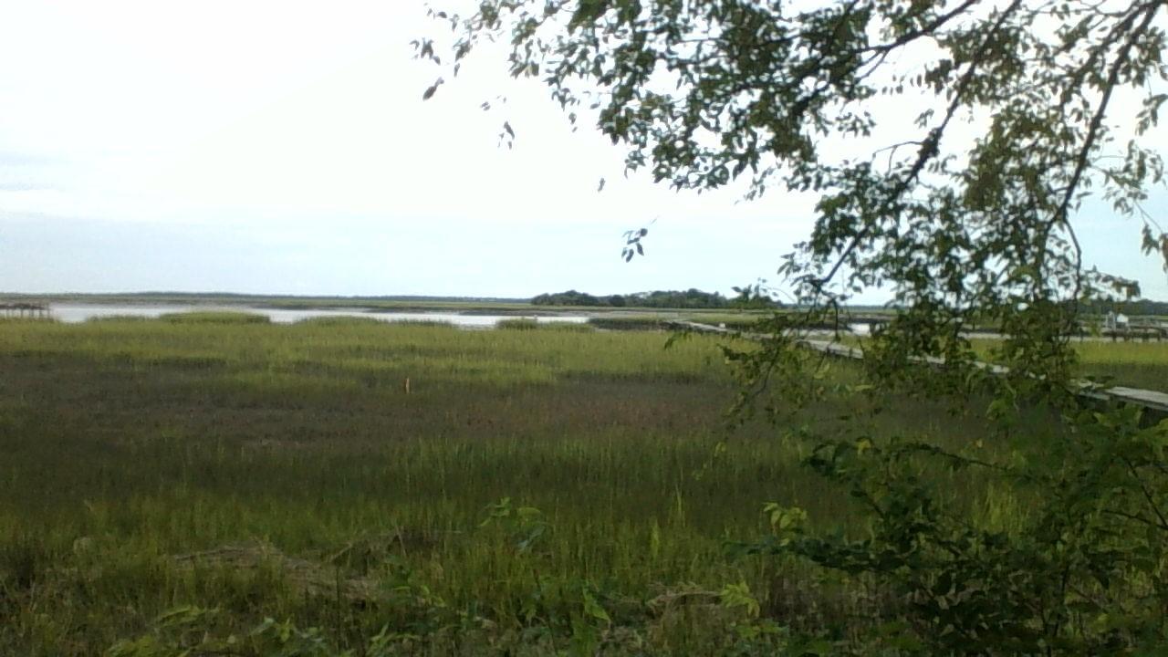 948 West Oceanview Road Charleston, SC 29412 - Photo 7 of 15 WIN_20150902_182052