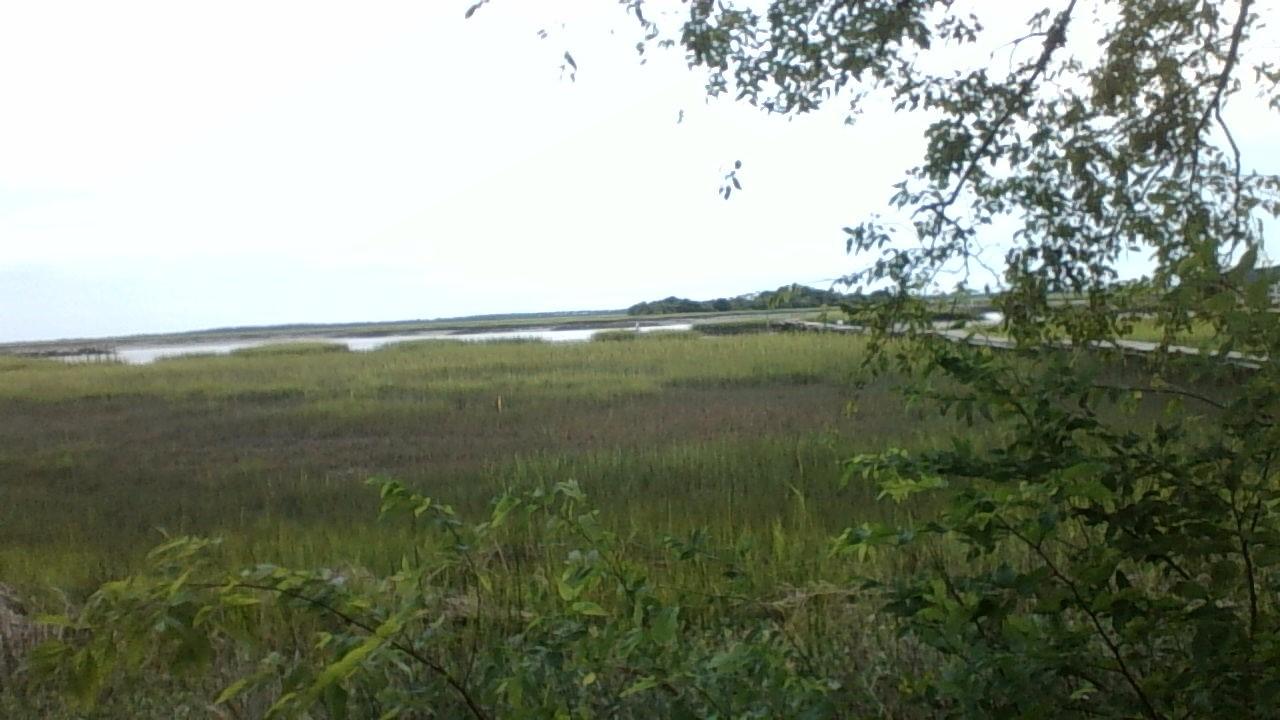 948 West Oceanview Road Charleston, SC 29412 - Photo 8 of 15 WIN_20150902_182046