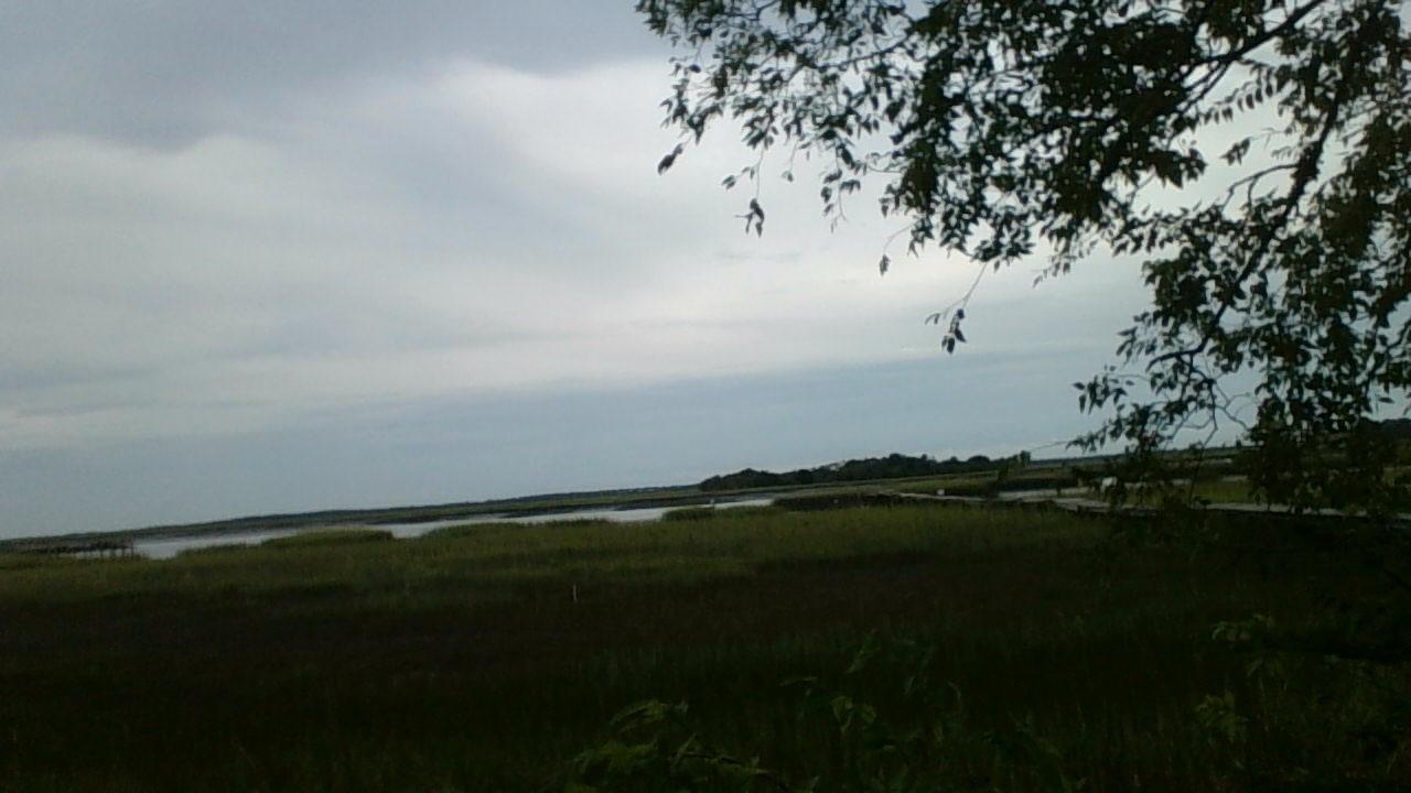 948 West Oceanview Road Charleston, SC 29412 - Photo 9 of 15 WIN_20150902_182042