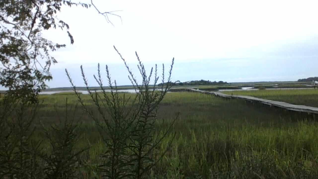 948 West Oceanview Road Charleston, SC 29412 - Photo 10 of 15 WIN_20150902_182031