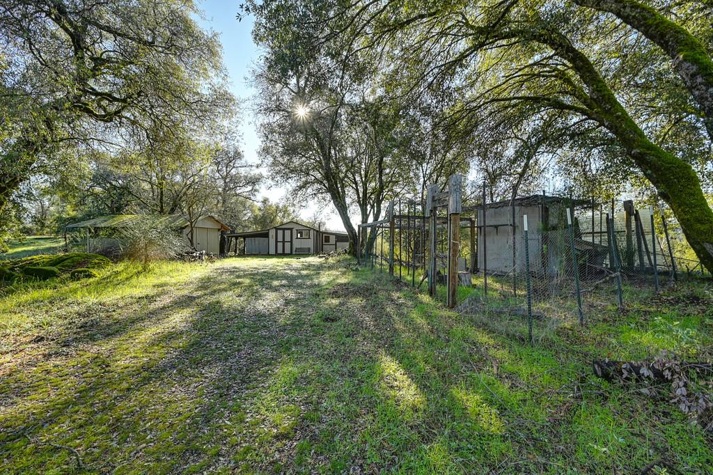 4656 Cosumnes View Trail Placerville, CA 95667 - Photo 42 of 58 a backyard of a house with lots of green space