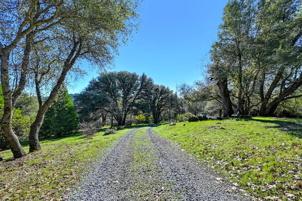 4656 Cosumnes View Trail Placerville, CA 95667 - Photo 43 of 58 a big yard with lots of green space and deers