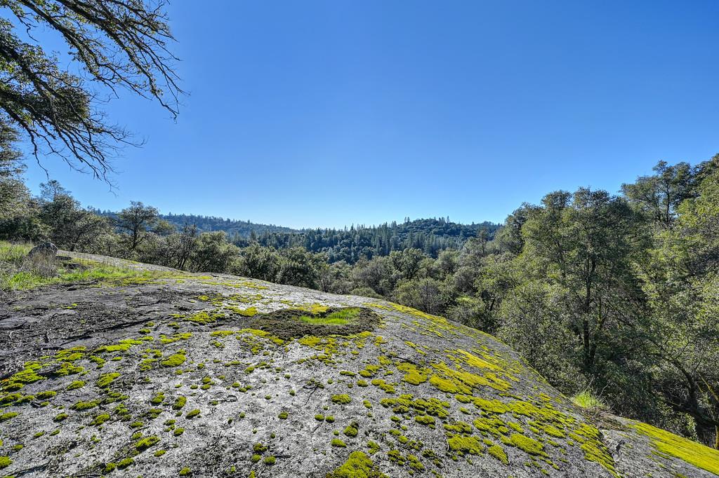 4656 Cosumnes View Trail Placerville, CA 95667 - Photo 51 of 58 a view of a yard with an outdoor space