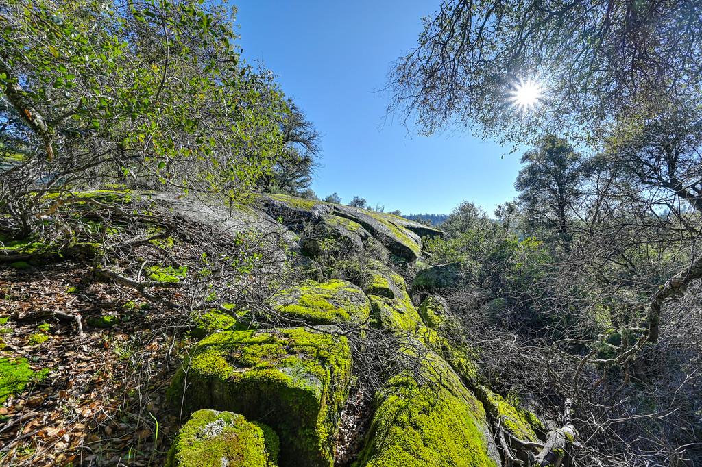4656 Cosumnes View Trail Placerville, CA 95667 - Photo 52 of 58 a bird view of location