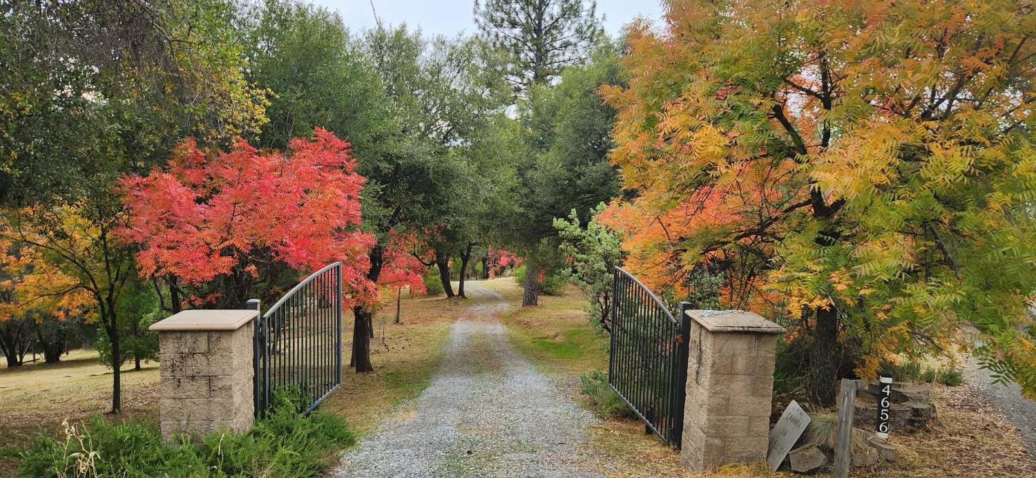 4656 Cosumnes View Trail Placerville, CA 95667 - Photo 54 of 58 a backyard of a house with table and chairs