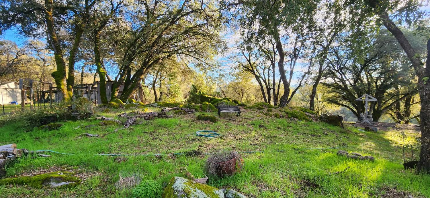 4656 Cosumnes View Trail Placerville, CA 95667 - Photo 57 of 58 a view of backyard