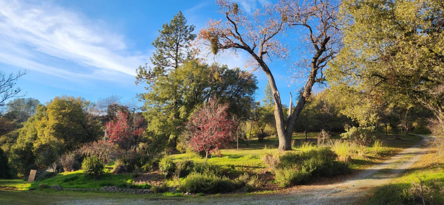 4656 Cosumnes View Trail Placerville, CA 95667 - Photo 58 of 58 a view of a yard with plants and trees