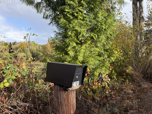 view of house with yard and trees in the background