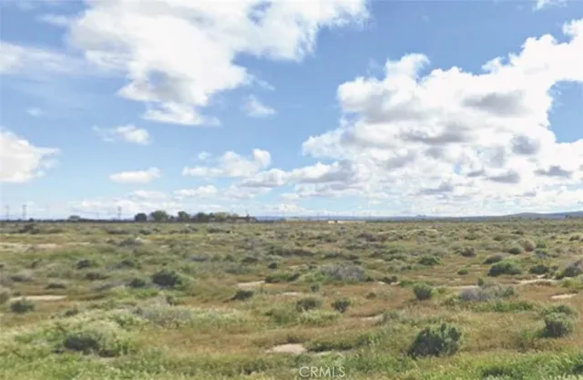a view of a dry yard with lots of bushes