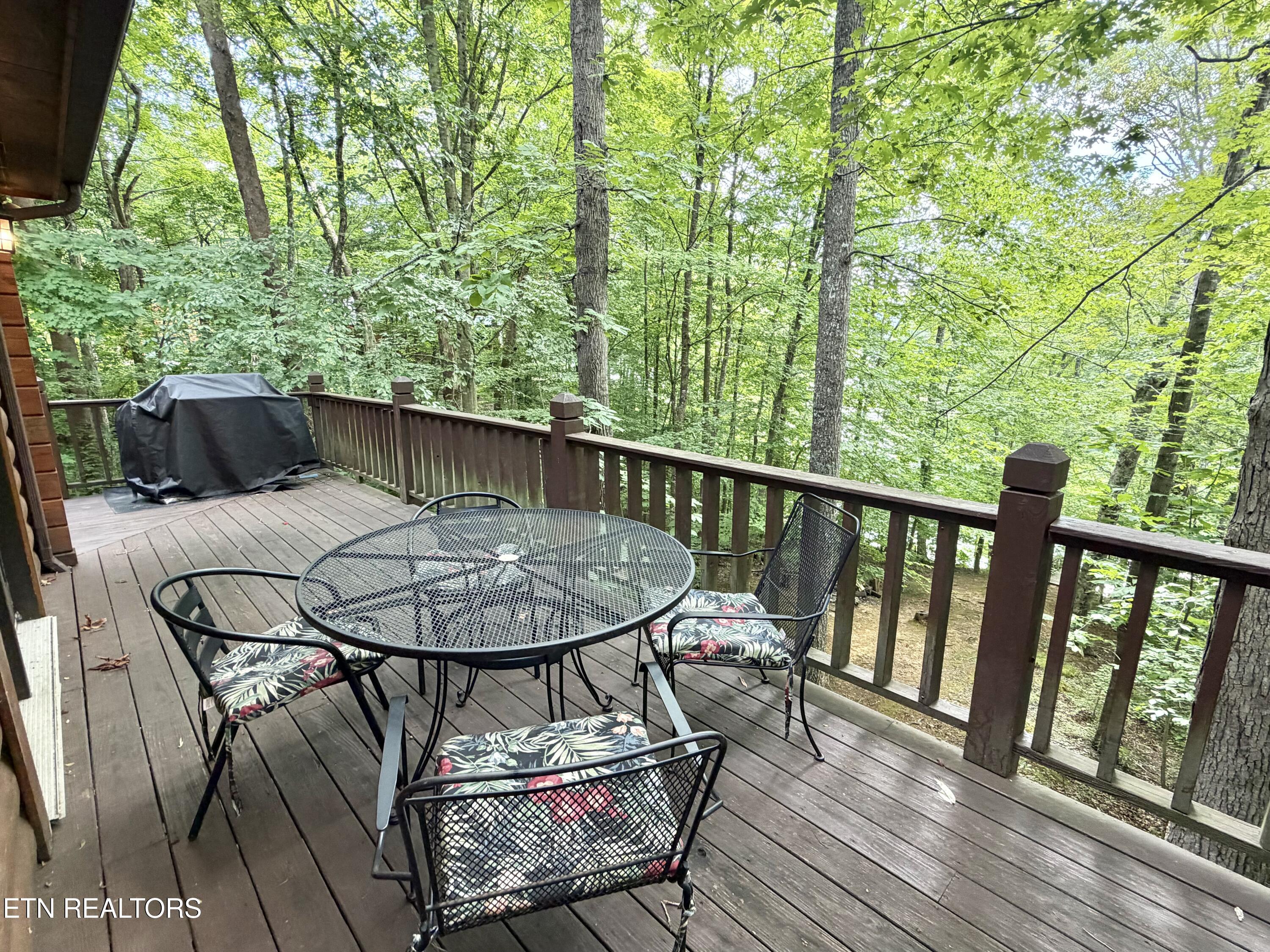 125 Shoreside Road New Tazewell, TN 37825 - Photo 35 of 52 IMG_4437