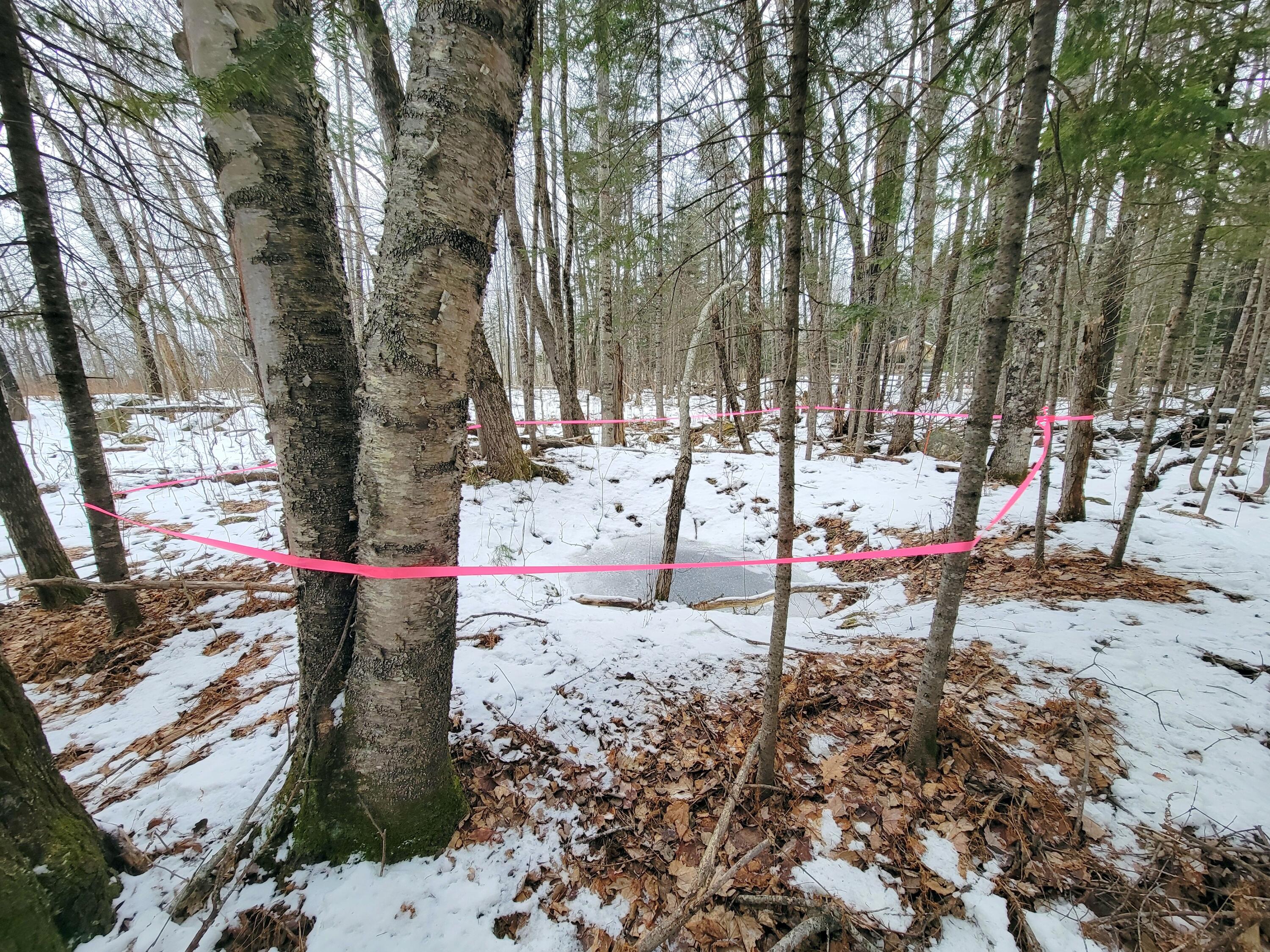 Lot 36 Center Hill Road Weld, ME 04285 - Photo 8 of 13 Old Dug Well