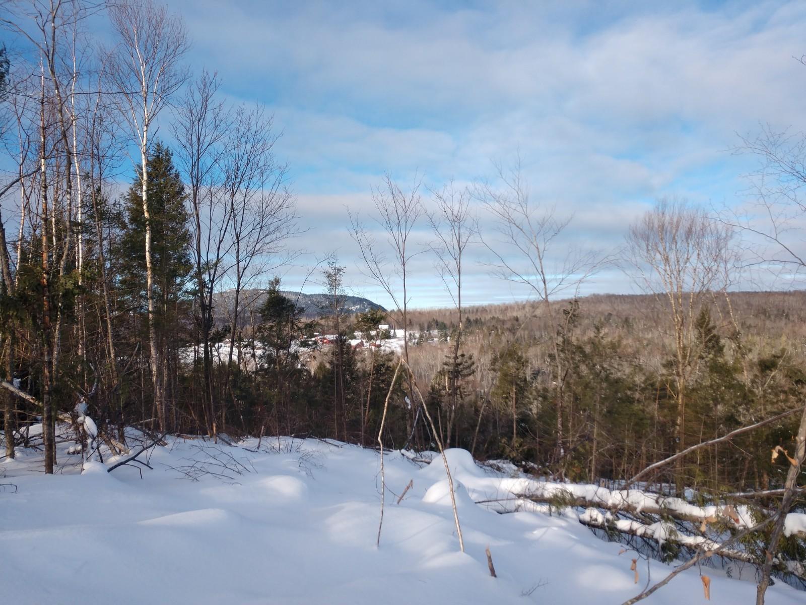 45 Gardner Point Road Mount Chase, ME 04765 - Photo 7 of 10 IMG_20181205_085712567
