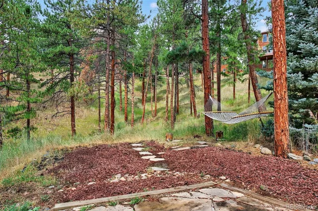 a view of backyard with green space
