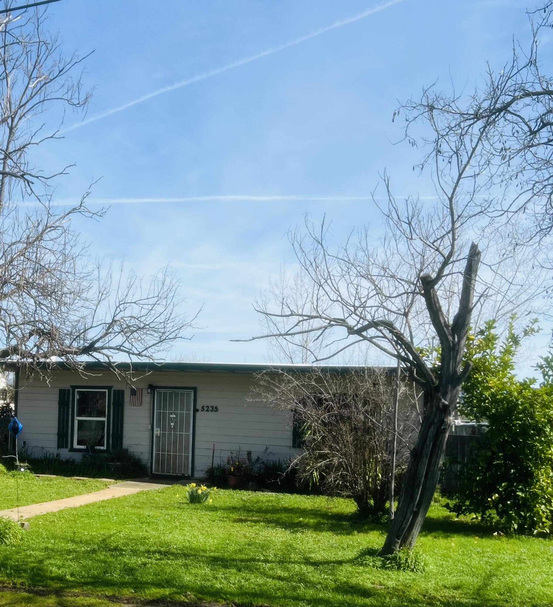 5243 Poplar Avenue Anderson, CA 96007 - Photo 2 of 11 a view of a backyard with potted plants and large trees
