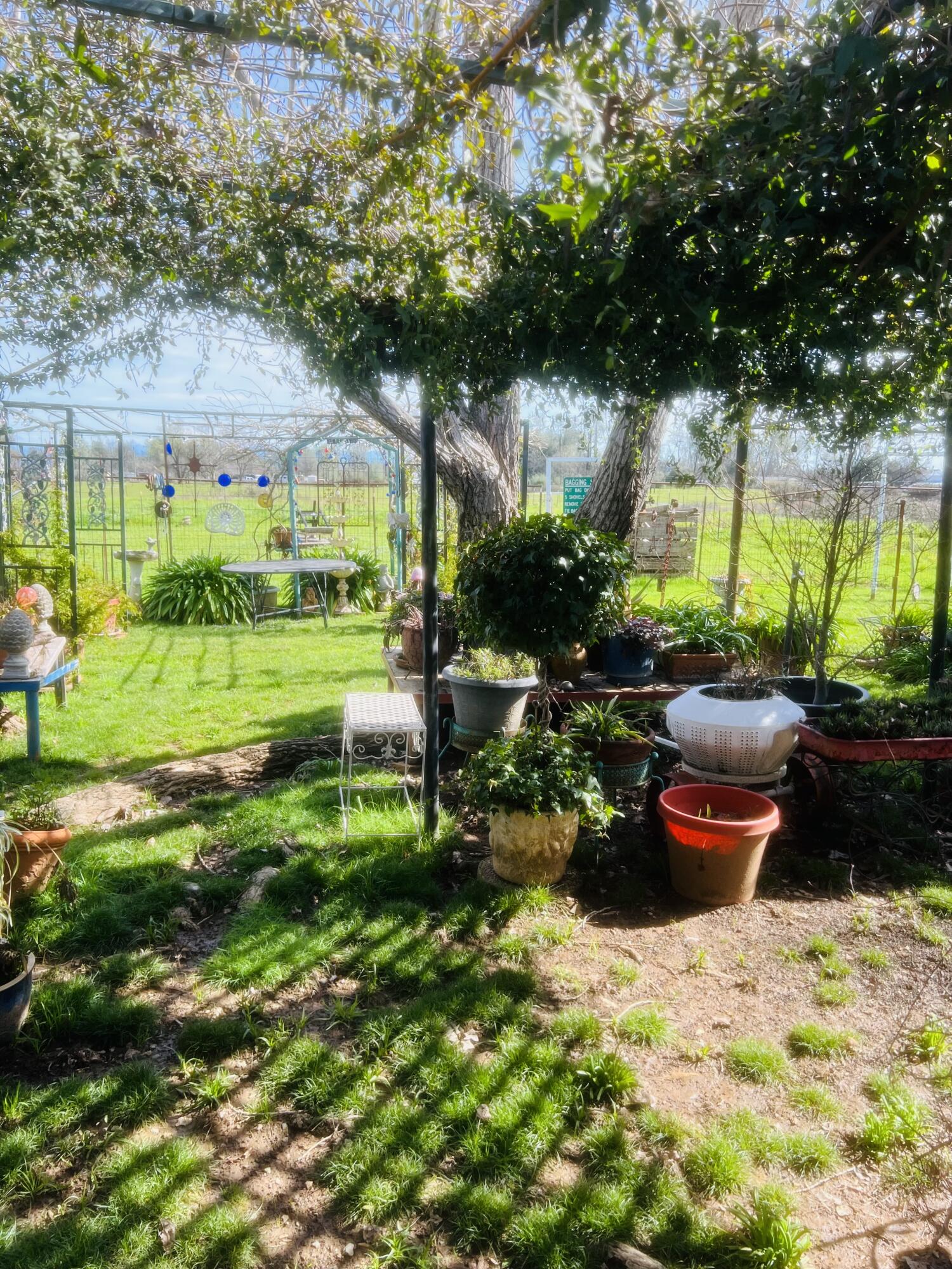 5243 Poplar Avenue Anderson, CA 96007 - Photo 3 of 11 a garden view with a seating space