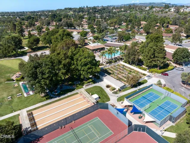a view of a yard with plants and trees