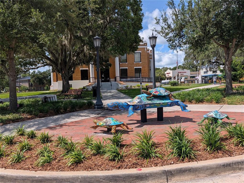 0 North Toro Drive Inverness, FL 34453 - Photo 10 of 12