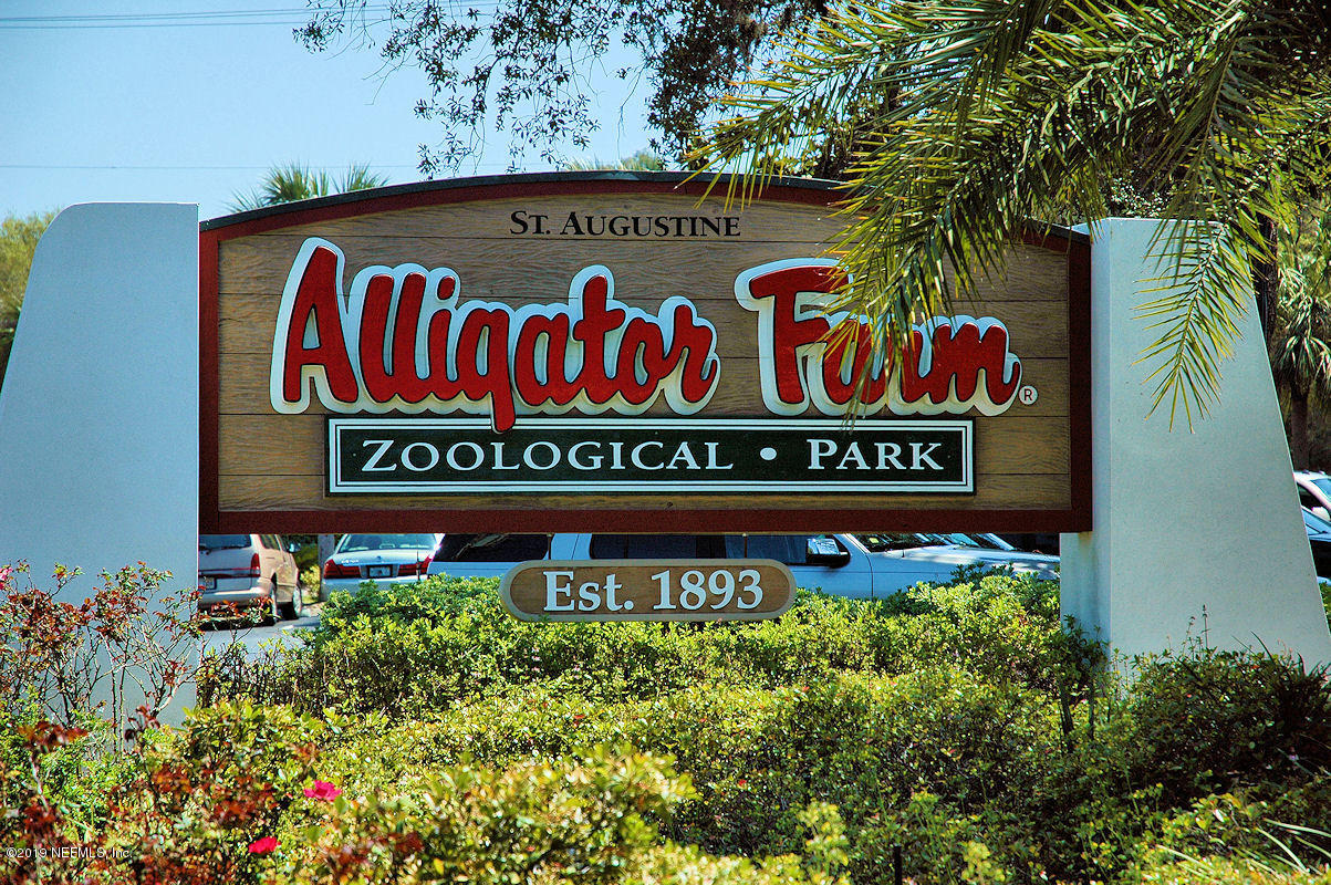 335 West Pisa Place St. Augustine, FL 32084 - Photo 22 of 29 Alligator Farm