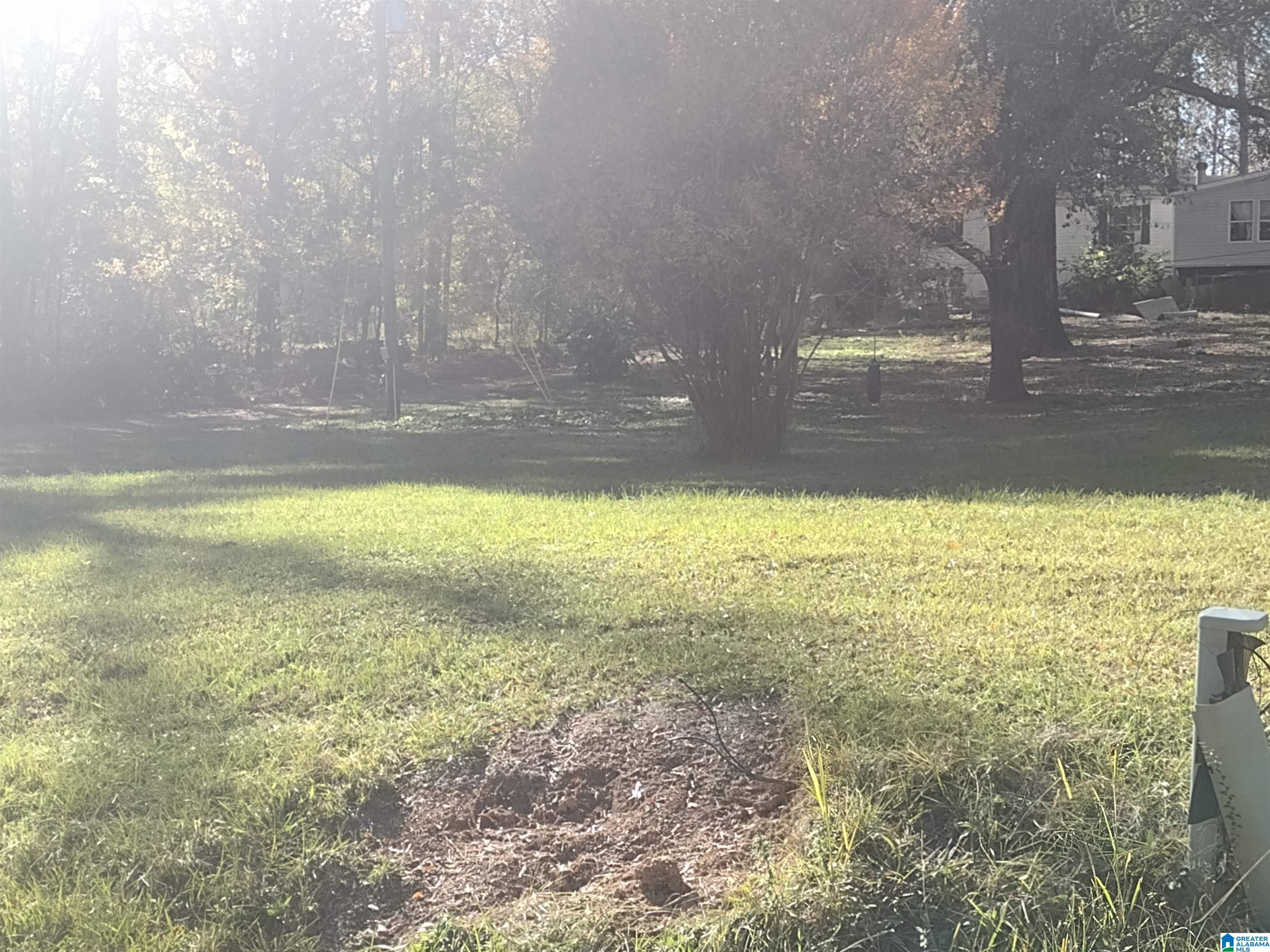 100 Forrest Street Sterrett, AL 35147 - Photo 2 of 2