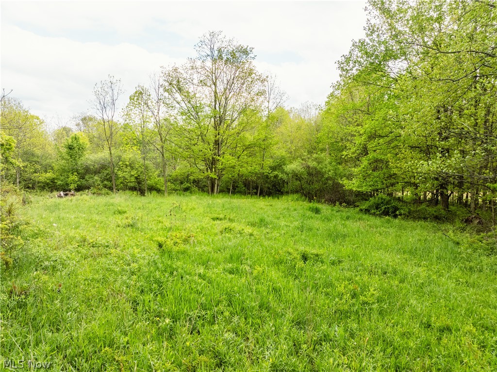 Garver Road Mansfield, OH 44903 - Photo 24 of 48