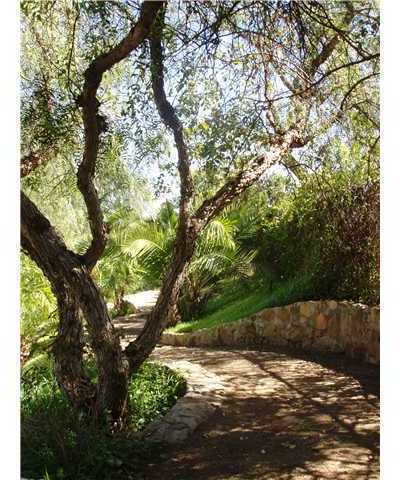 12450 Palos Tierra Road Valley Center, CA 92082 - Photo 12 of 25 Walking Path
