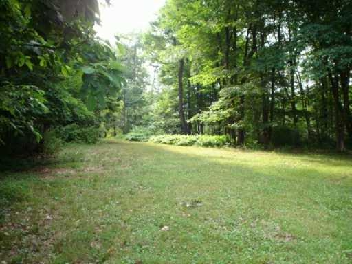 339 Prospect Road Evans City, PA 16033 - Photo 2 of 3 Yard/Garden.