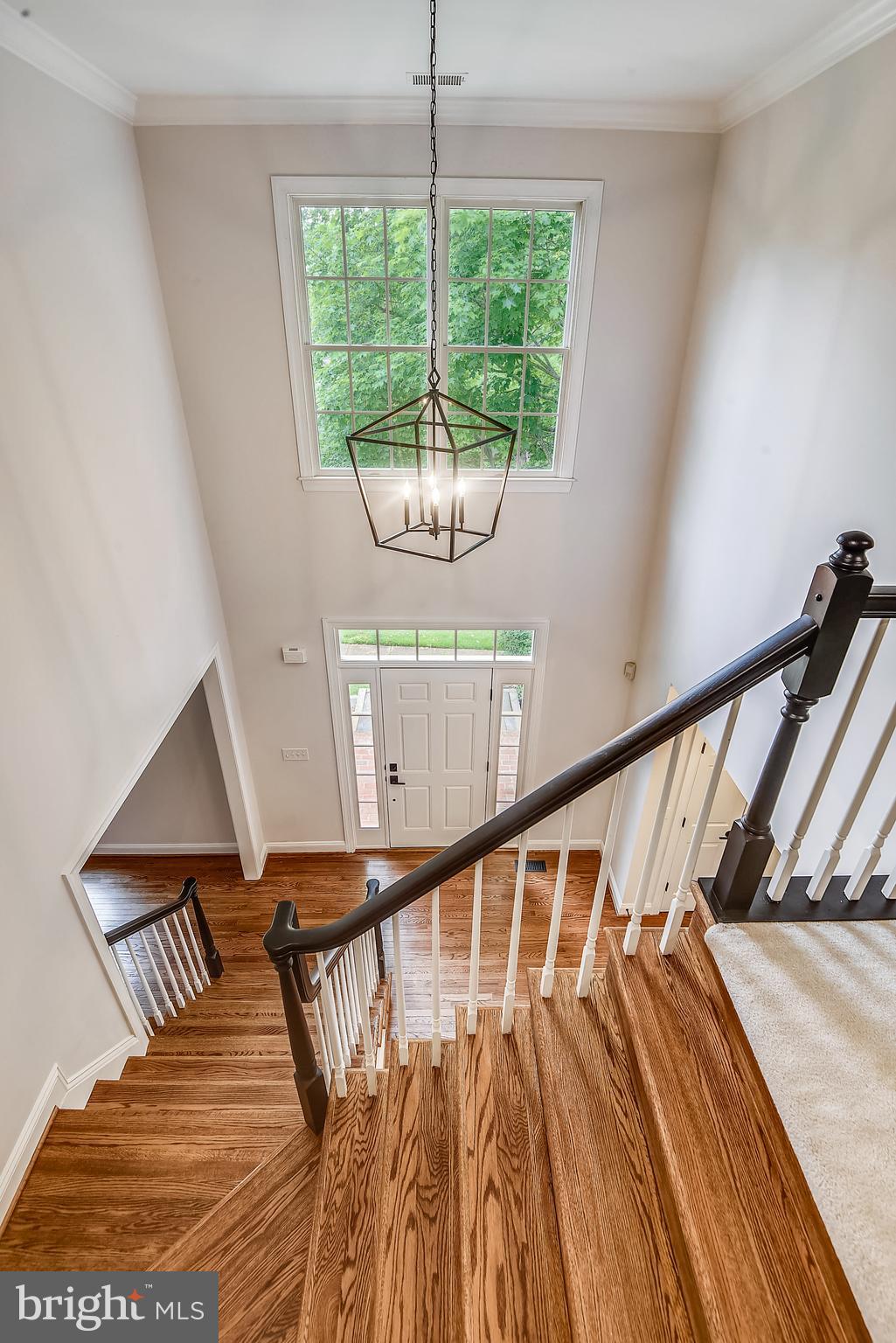 3213 Homewood Road Davidsonville, MD 21035 - Photo 27 of 52