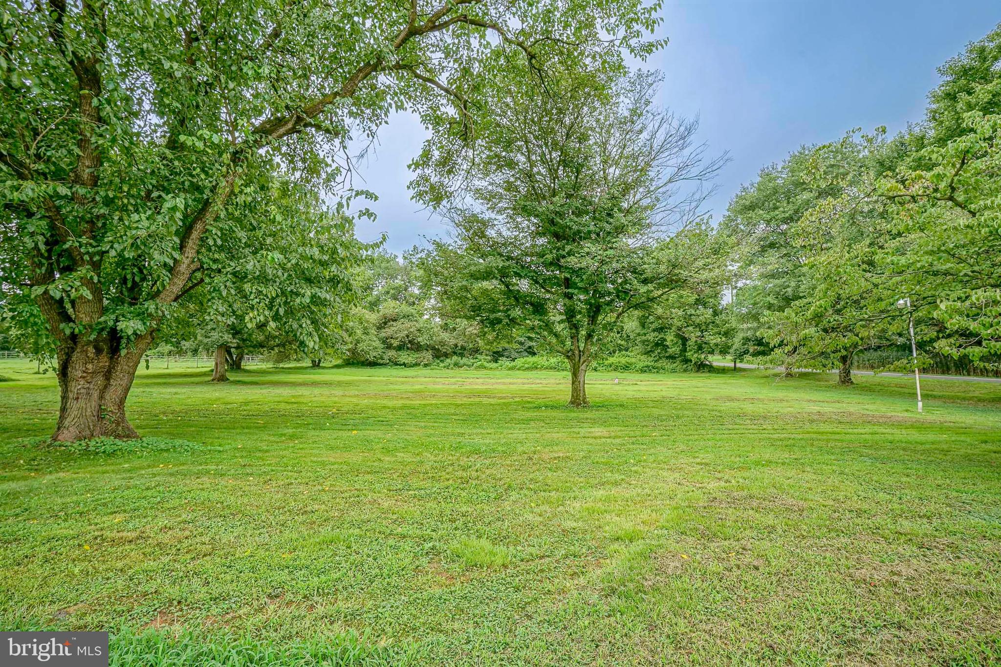 41 New Road Pedricktown, NJ 08067 - Photo 4 of 25 side yard