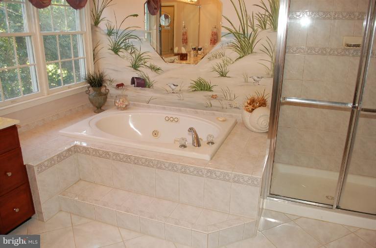 22 Riders Court Edgewater, MD 21037 - Photo 23 of 30 Master Bath Tub Area