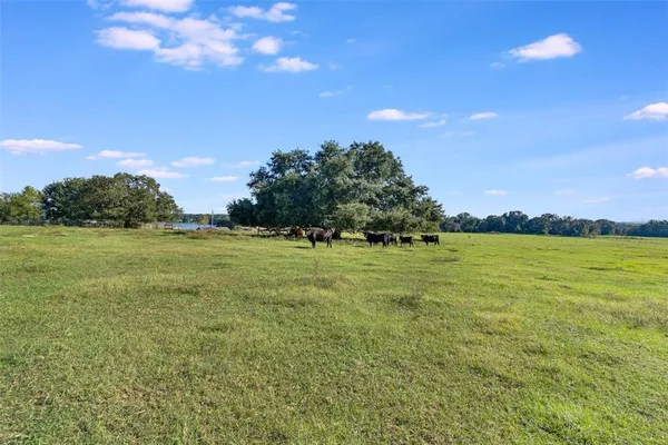 a view of an outdoor space and yard