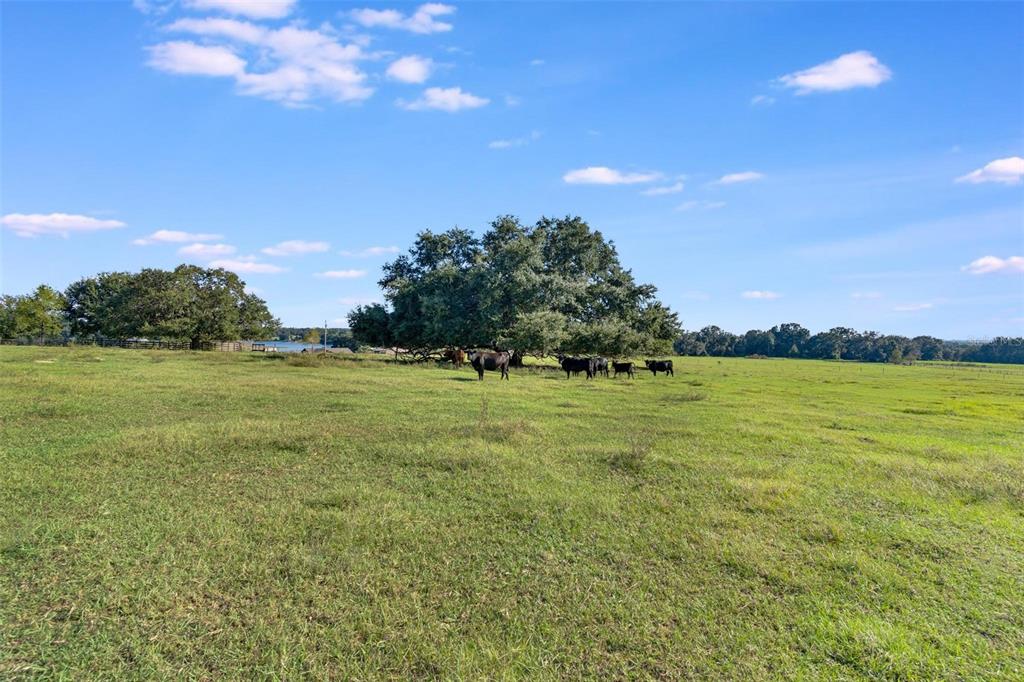 Southeast 156th Place Road Weirsdale, FL 32195 - Photo 10 of 17 a view of yard with ocean view