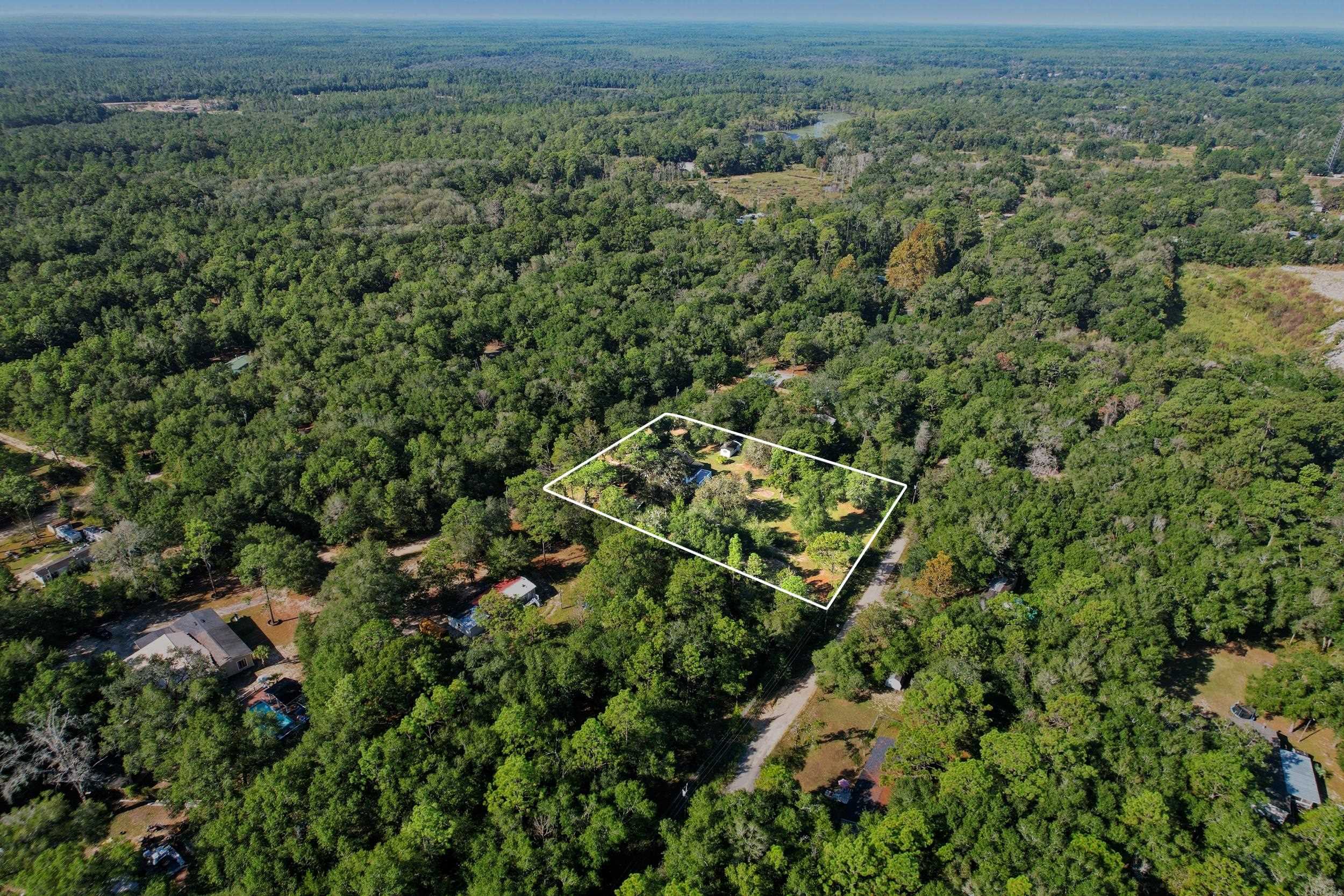 8032 Baby Farm Road Tallahassee, FL 32310 - Photo 2 of 55 Gallery Image 2