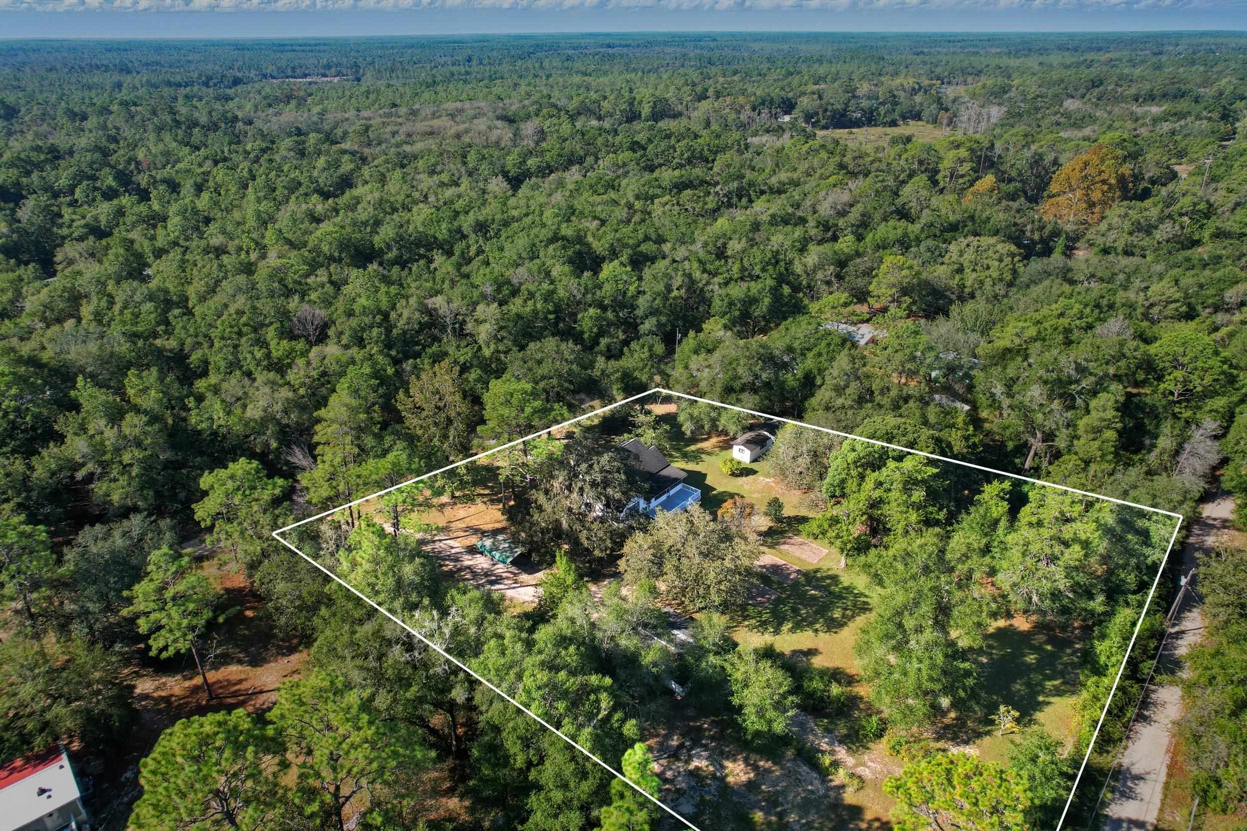 8032 Baby Farm Road Tallahassee, FL 32310 - Photo 4 of 55 Gallery Image 4