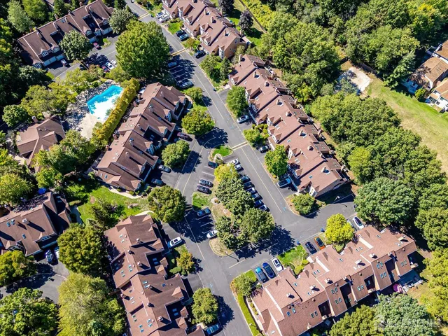 a view of a garden with plants