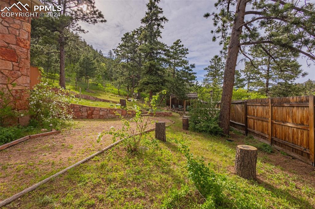 7955 Highway 24 Cascade, CO 80809 - Photo 28 of 44 a view of a yard with swimming pool
