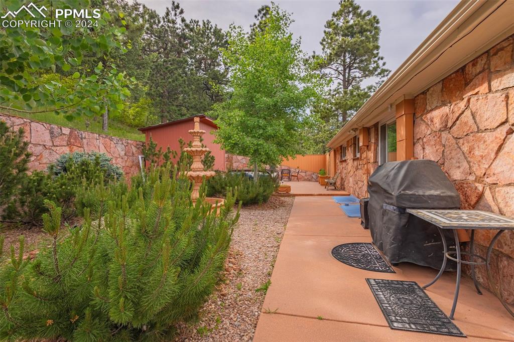 7955 Highway 24 Cascade, CO 80809 - Photo 35 of 44 a view of outdoor space yard and patio