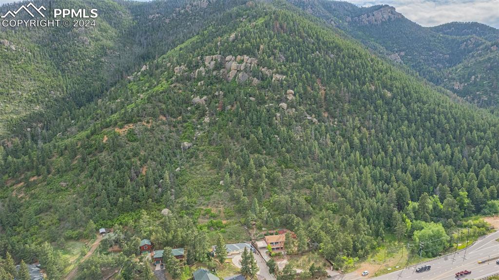 7955 Highway 24 Cascade, CO 80809 - Photo 44 of 44 a view of a forest with a street