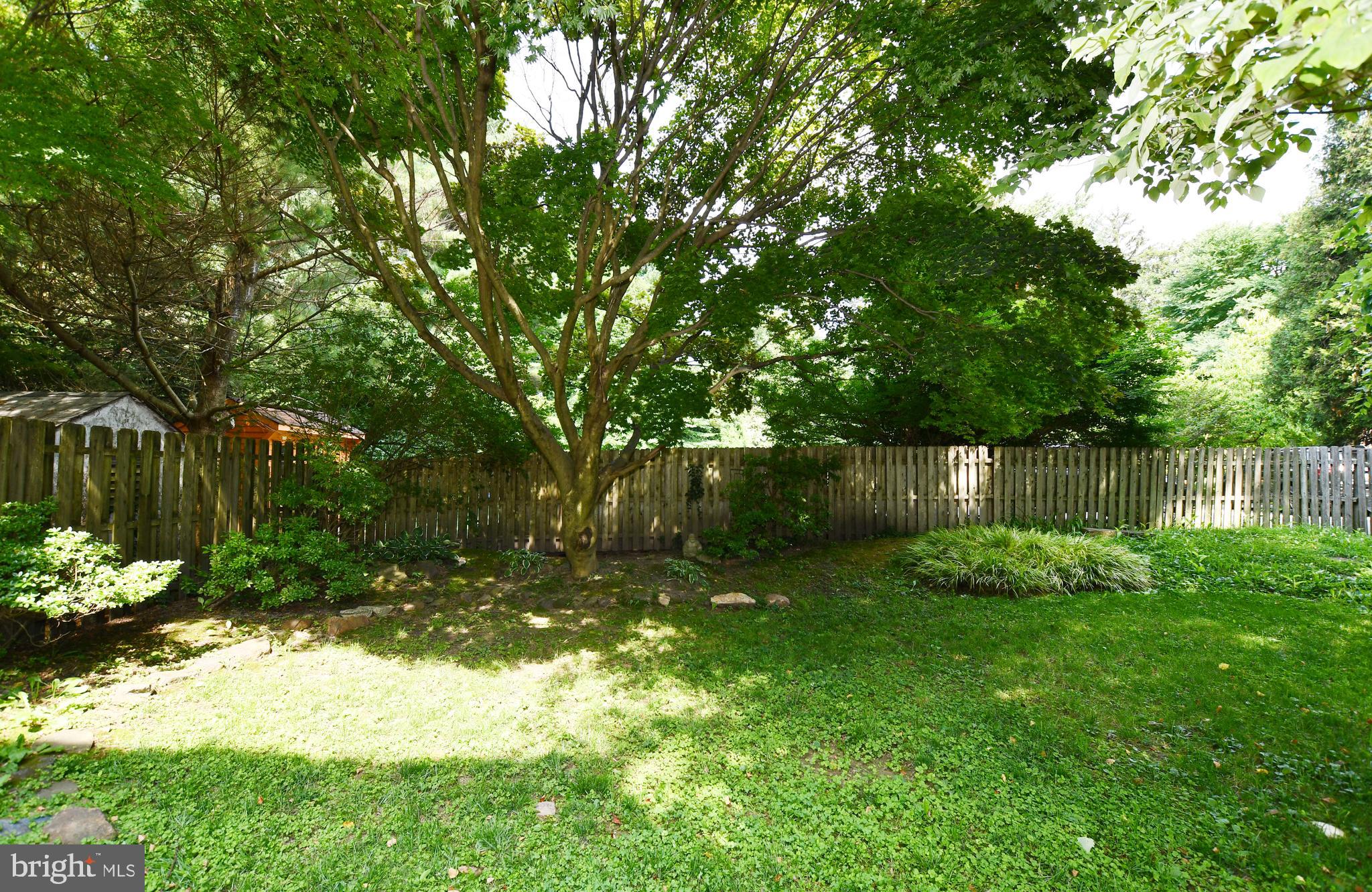 113 Brookhaven Road Wallingford, PA 19086 - Photo 16 of 43 Fenced back yard