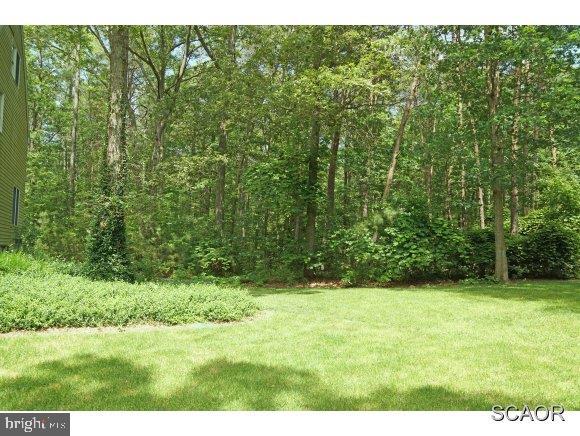 22807 Neptune Road Milton, DE 19968 - Photo 3 of 24 Gallery Image 3