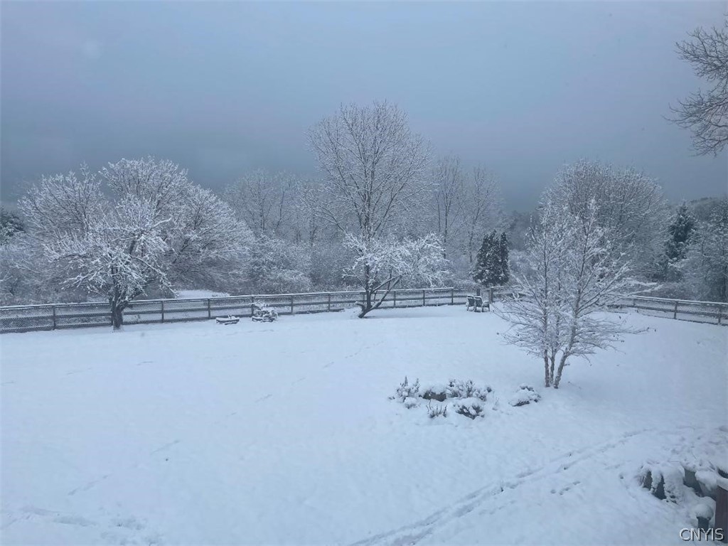 2886 West Lake Road Skaneateles, NY 13152 - Photo 27 of 28 It's even beautiful in the winter!