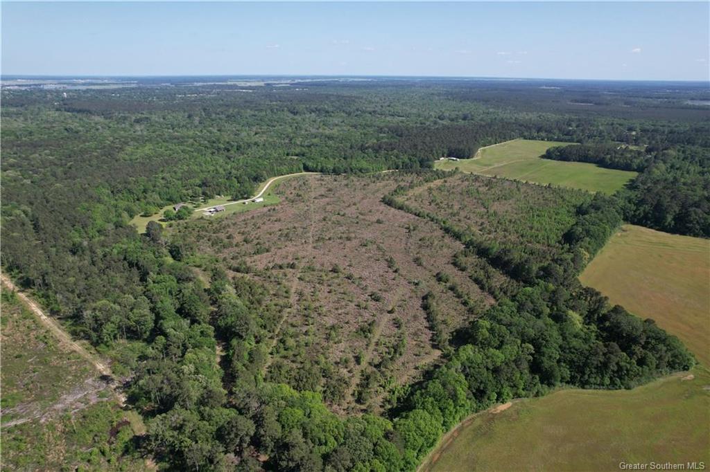 606 Broadwing Ranch Road Elton, LA 70532 - Photo 41 of 46